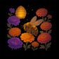 Bee Magic Hive Tee - Max & Co Tees