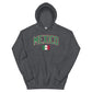 ¡Fuerza México! Mexico Flag Hoodie - Max & Co Tees