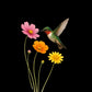 Hummingbird Tee - Max & Co Tees